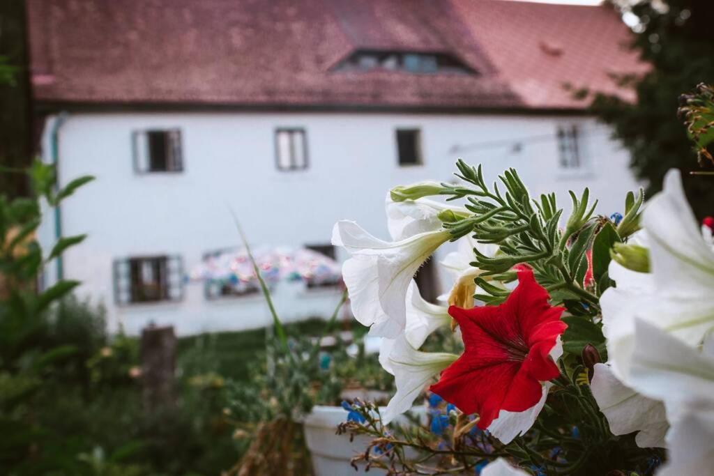 Enjoy Cozy Romance Hills Forest Gardens Views Sauna Whirlpool Bath Jablonné v Podještědí Εξωτερικό φωτογραφία