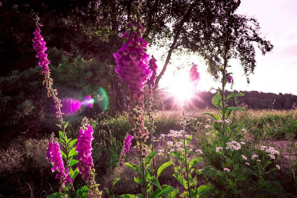 Enjoy Cozy Romance Hills Forest Gardens Views Sauna Whirlpool Bath Jablonné v Podještědí Εξωτερικό φωτογραφία